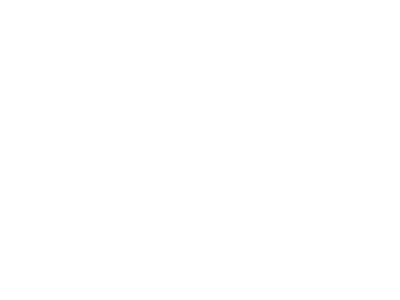 Last Dying Website