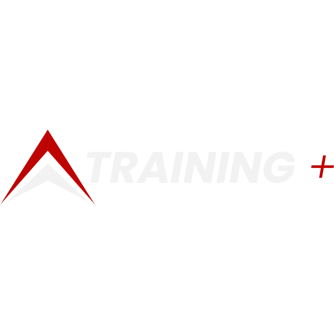 Proyecto Training Plus