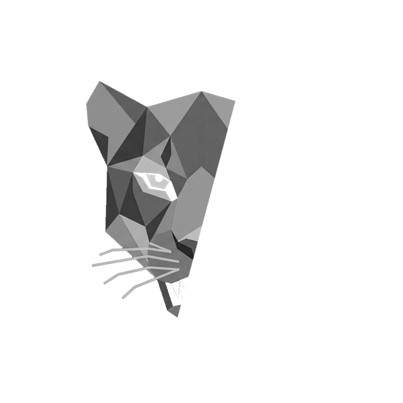 Proyecto Yagua Image Processor